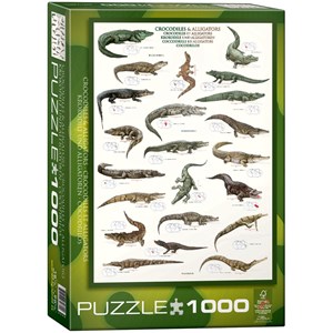 Eurographics (6000-4680) - "Krokodile und Alligatoren" - 1000 Teile Puzzle