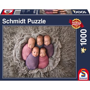 Schmidt Spiele (58301) - "Fünf auf einen Streich" - 1000 Teile Puzzle