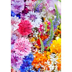 Grafika Kids (01170) - "Blumen-Explosion" - 100 Teile Puzzle