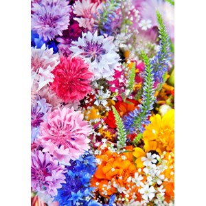 Grafika Kids (01170) - "Blumen-Explosion" - 100 Teile Puzzle