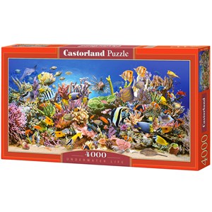 Castorland (C-400089) - "Unterwasserleben" - 4000 Teile Puzzle