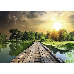 Ravensburger (19538) - "Nature Edition N°3: Mystisches Licht" - 1000 Teile Puzzle