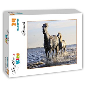 Grafika Kids (01245) - "Pferde" - 24 Teile Puzzle
