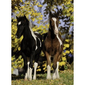 Nathan (86804) - "Horses" - 150 Teile Puzzle