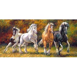 Castorland (C-400119) - "Born to Run" - 4000 Teile Puzzle