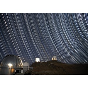 Grafika (00760) - "Ist es ein Vogel?" - 1000 Teile Puzzle