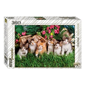 Step Puzzle (73058) - "Drollige Katzenkinder" - 360 Teile Puzzle