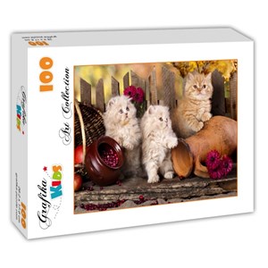 Grafika Kids (00320) - "Persian kittens" - 100 Teile Puzzle