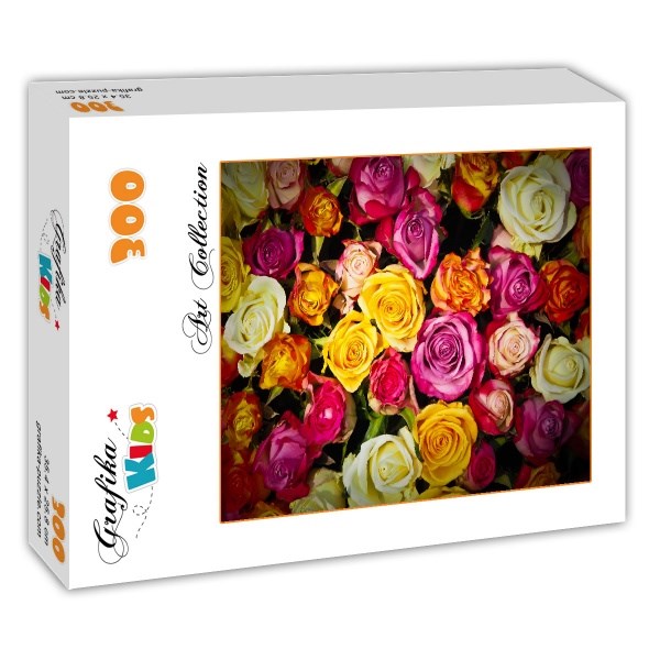 Grafika Kids (00939) - "Roses" - 300 Teile Puzzle