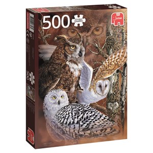Jumbo (18346) - "Finden Sie die Eulen" - 500 Teile Puzzle