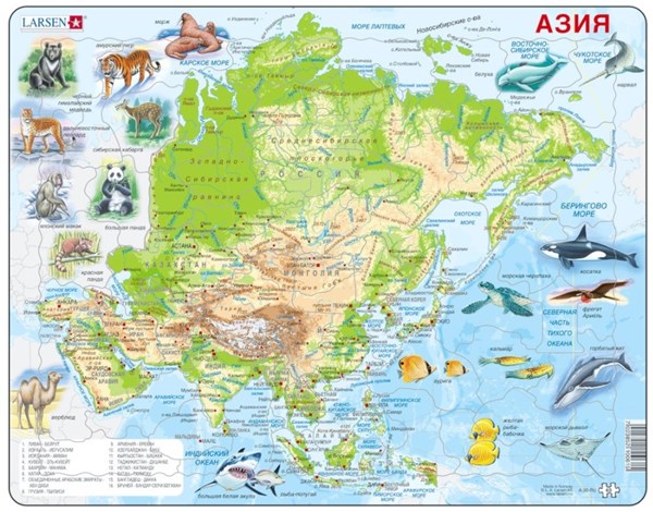 Larsen (A30-RU) - "Asien (auf Russisch)" - 63 Teile Puzzle