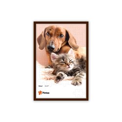 Pintoo (U1028) - "Hunde und Katzen" - 48 Teile Puzzle