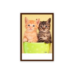 Pintoo (U1028) - "Hunde und Katzen" - 48 Teile Puzzle