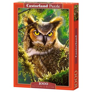 Castorland (C-103577) - "Durchdringender Eulenblick" - 1000 Teile Puzzle