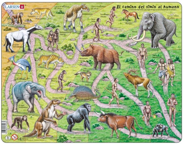 Larsen (HL3-ES) - "El Camino del Simio al Humano - ES" - 83 Teile Puzzle