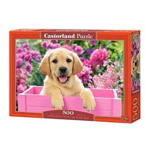 Castorland (B-52226) - "Labradorwelpe in einer pinken Kiste" - 500 Teile Puzzle
