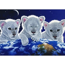 Grafika (T-00404) - Schim Schimmel, William Schimmel: "Secret, Mystery and Hope" - 1000 Teile Puzzle