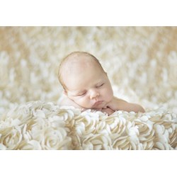 Grafika (01606) - Konrad Bak: "Baby sleeping in the Roses" - 1000 Teile Puzzle