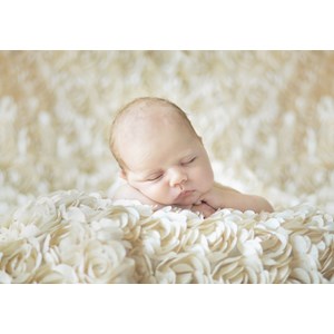 Grafika (01606) - Konrad Bak: "Baby sleeping in the Roses" - 1000 Teile Puzzle