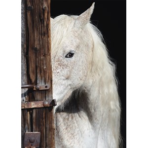 Schmidt Spiele (58278) - "Pferdeschönheit" - 1000 Teile Puzzle