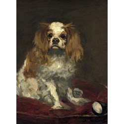 Grafika (01706) - Edouard Manet: "A King Charles Spaniel, 1866" - 2000 Teile Puzzle