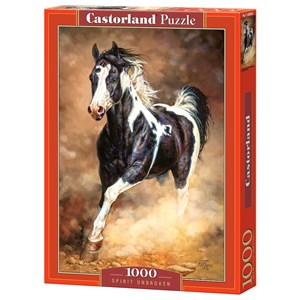 Castorland (C-103690) - "Ungebrochener Geist" - 1000 Teile Puzzle