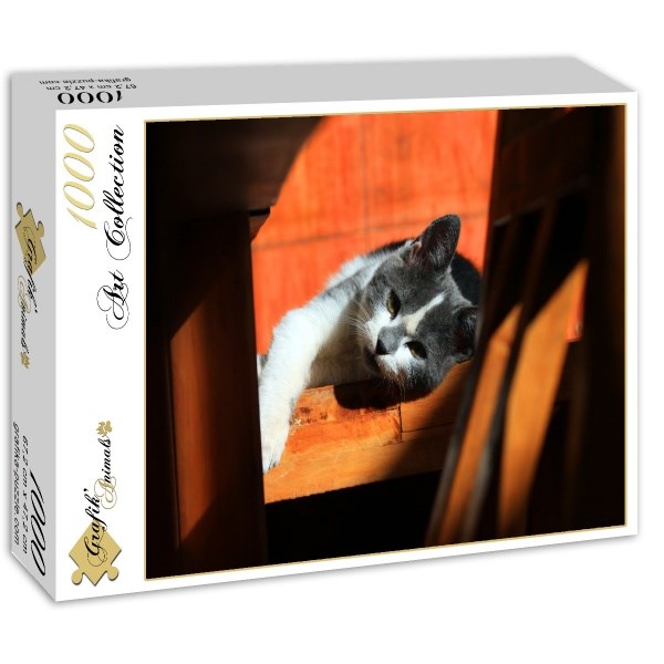 Grafika (01409) - "Kätzchen" - 1000 Teile Puzzle