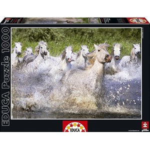 Educa (15988) - "Weiße Camargue-Pferde" - 1000 Teile Puzzle