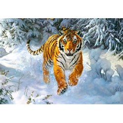 Castorland (B-52400) - "Sibirischer Tiger im Schnee" - 500 Teile Puzzle