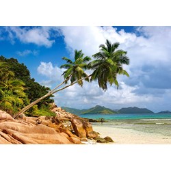 Castorland (C-103713) - "Paradiesischer Strand auf den Seychellen" - 1000 Teile Puzzle