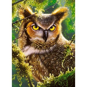 Castorland (B-030231) - "Eule" - 300 Teile Puzzle