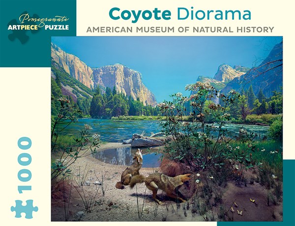 Pomegranate (AA942) - "Coyote Diorama" - 1000 Teile Puzzle