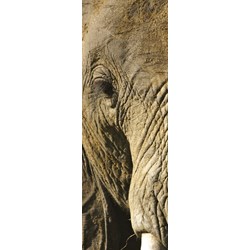 Clementoni (39307) - "Animals" - 500 Teile Puzzle