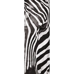 Clementoni (39307) - "Animals" - 500 Teile Puzzle