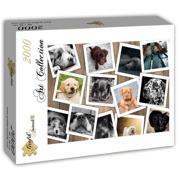 Grafika (T-00378) - "Hunde" - 2000 Teile Puzzle