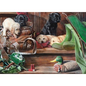 King International (05379) - "Puppies on Stairs" - 1000 Teile Puzzle