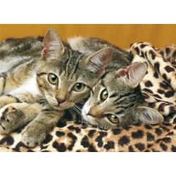 Clementoni (08103) - "Niedliche Tiere" - 500 1000 Teile Puzzle