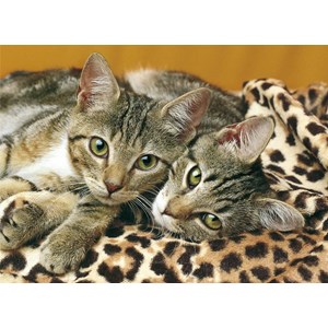 Clementoni (08103) - "Niedliche Tiere" - 500 1000 Teile Puzzle