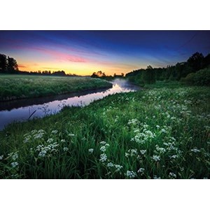 Tactic (40902) - "Sommernacht" - 1000 Teile Puzzle