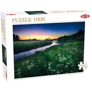 Tactic (40902) - "Sommernacht" - 1000 Teile Puzzle