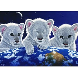 Grafika (T-00403) - Schim Schimmel: "Secret, Mystery and Hope" - 1500 Teile Puzzle