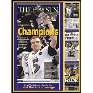 White Mountain (973) - "White Mountain" - 550 Teile Puzzle