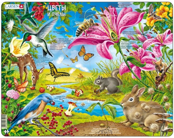 Larsen (NB4-RU) - "Die Blumen und die Bienen - auf Russisch" - 55 Teile Puzzle