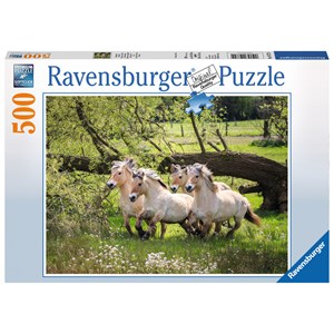 Ravensburger (14772) - "Norwegische Fjordpferde" - 500 Teile Puzzle