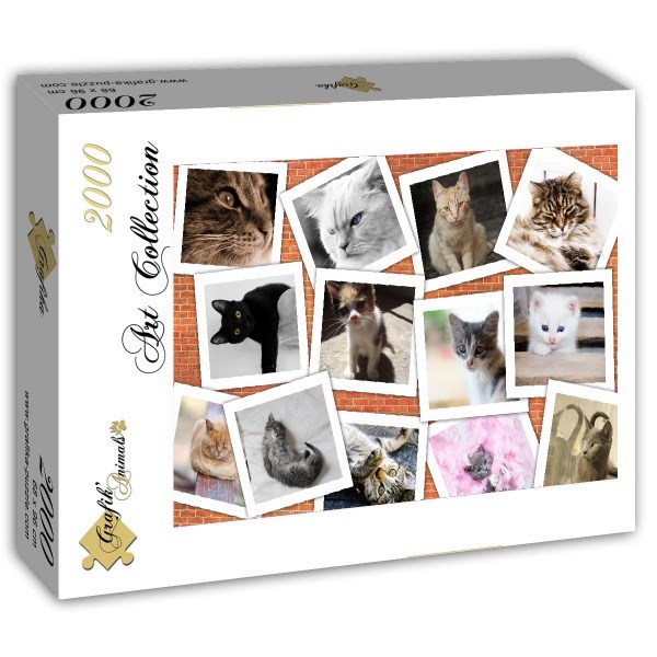 Grafika (T-00383) - "Katzen" - 2000 Teile Puzzle