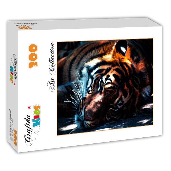 Grafika Kids (00961) - "Tiger" - 300 Teile Puzzle