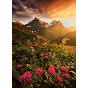 Clementoni (39329) - "Blühende Felder" - 1000 Teile Puzzle