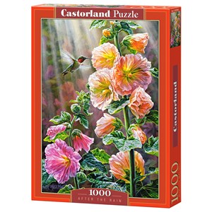 Castorland (C-103584) - "Nach dem Regen" - 1000 Teile Puzzle