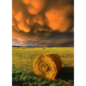 Heye (29550) - "Aufziehender Sturm" - 1000 Teile Puzzle