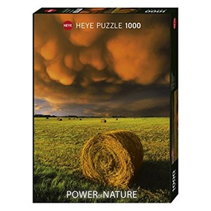 Heye (29550) - "Aufziehender Sturm" - 1000 Teile Puzzle